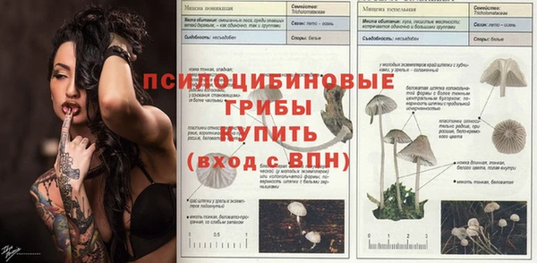 альфа пвп Аркадак