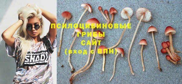 Альфа ПВП Армянск