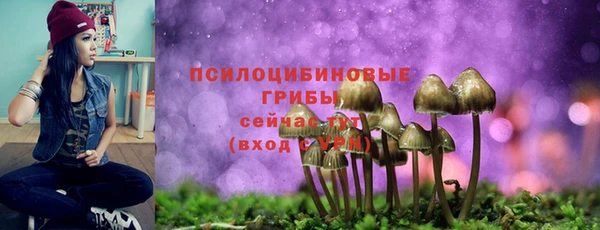 скорость Арсеньев
